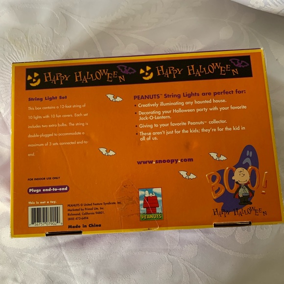 Peanut snoopy, low mode, plastic Halloween Punkin lights - Picture 6 of 8